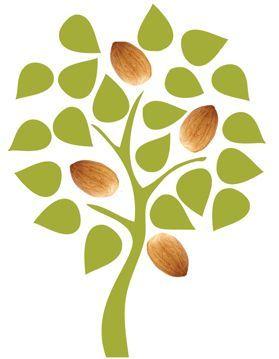 Almond Logo - almond tree | Design | Pinterest | Graphic Design, Design and Almond