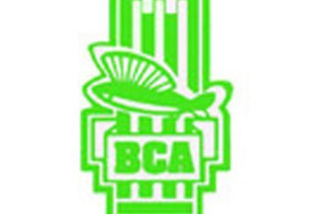 BCA School Logo - BCA school shot -- NationNews Barbados -- Local, Regional and ...