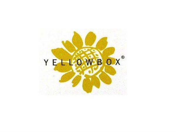 Yellow Box Logo - Image - YELLOW-BOX-LOGO.jpg | Logofanonpedia | FANDOM powered by Wikia