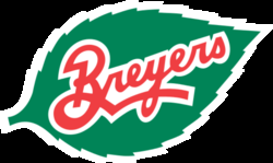 Breyers Ice Cream Logo - Breyers ice cream Logos