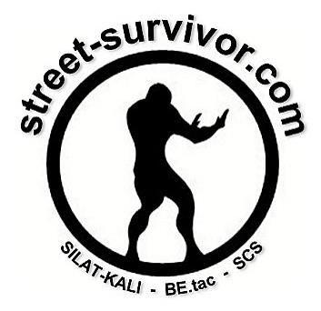 2 Hands -On Ball Logo - Street Survivor