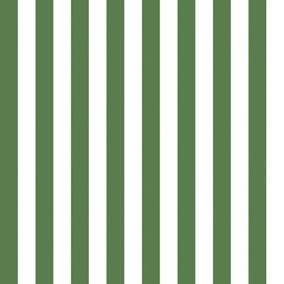 Green White Stripe with Logo - Marimekko Volume 4 Nimikko 33' x 21