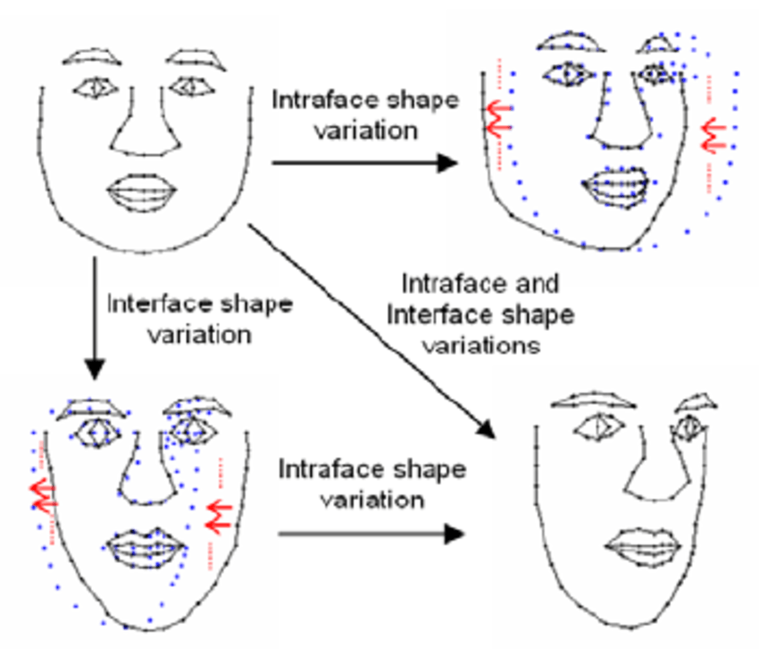 Arrow-Shaped Red Face Logo - Interface and Intraface shape variations (Red arrows denote ...