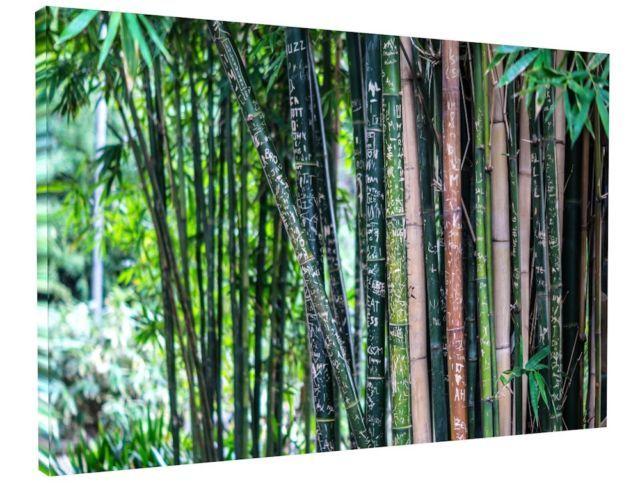 Zen Bamboo Logo - Japanese Zen Bamboo Canvas Picture Print Wall Art Chunky Frame Large ...