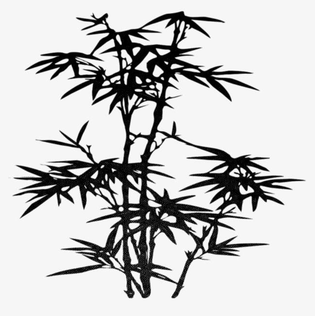 Zen Bamboo Logo - Zen Bamboo Antiquity, Bamboo Clipart, Bamboo, Zen PNG Image and ...