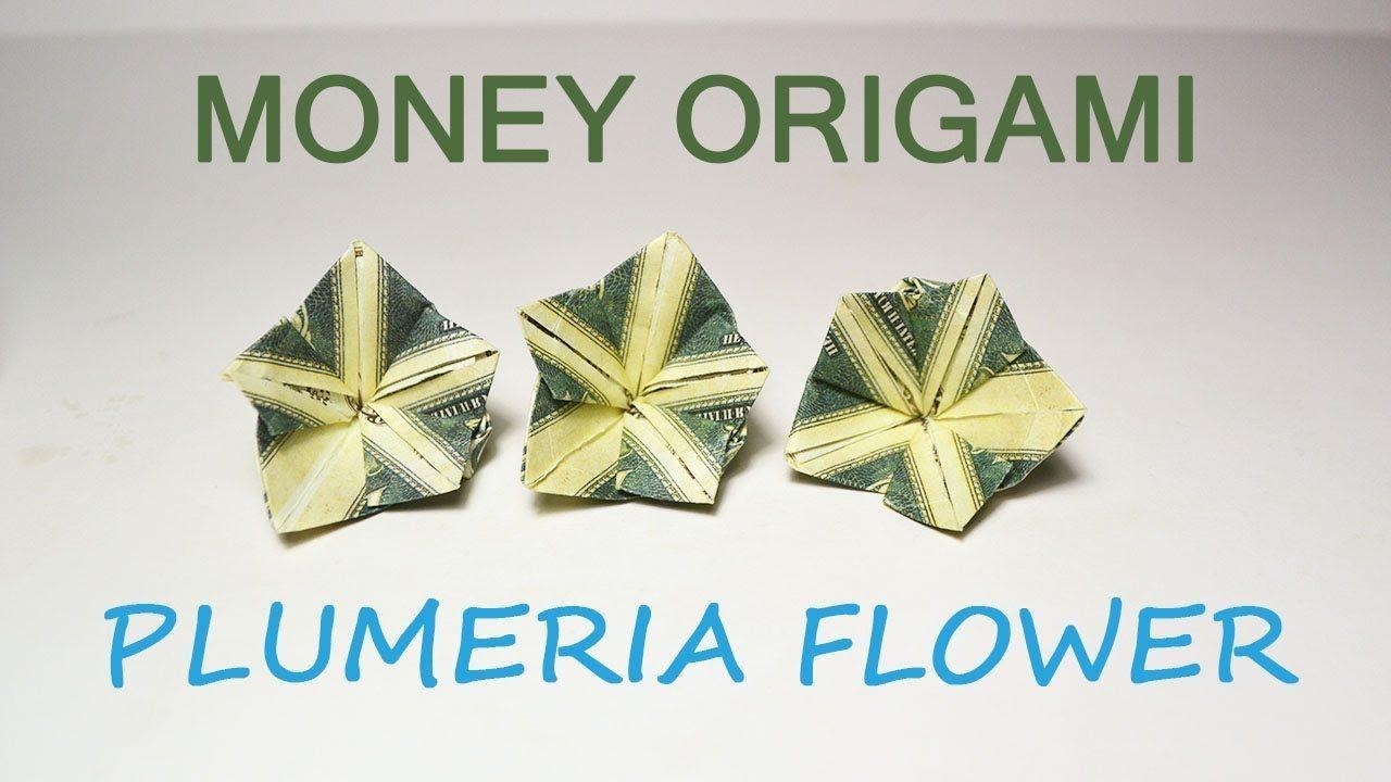 Dollar Flower Logo - Money Plumeria Origami Flower Dollar Tutorial DIY Folded No glue