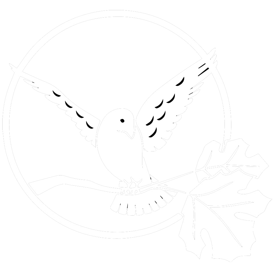 White Bird Dental Logo - Dental Clinic | White Bird Clinic