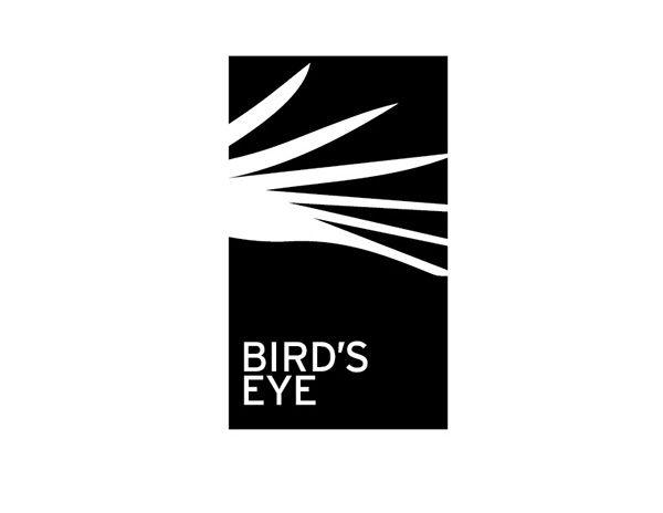 White Bird Dental Logo - Bird's Eye Dental on Behance