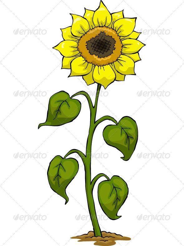 Dollar Flower Logo - Pin by Teachayshoio on Dollar | Pinterest | Templates, Vector design ...