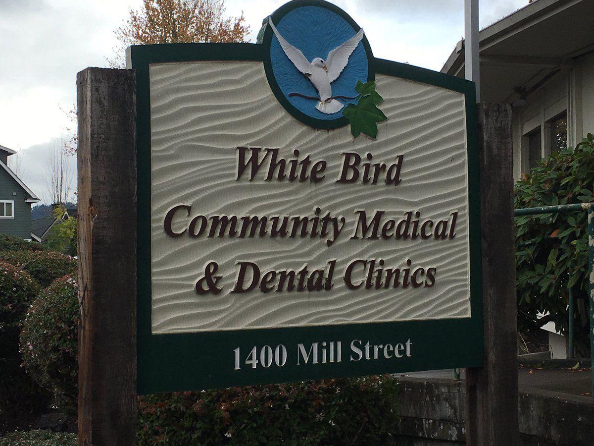 White Bird Dental Logo - Thomas Adams's Tweet's White Bird clinic is gearing up