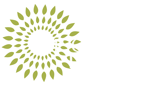 White Bird Dental Logo - Issaquah Dentist. Dr. Madhuri Vanama