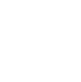 Swan in Circle Logo - Custom Design Work. Swancircle Brand