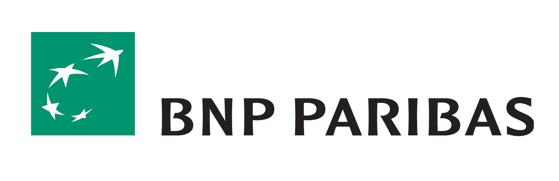 BNP Paribas Logo - Bnp Paribas Logo