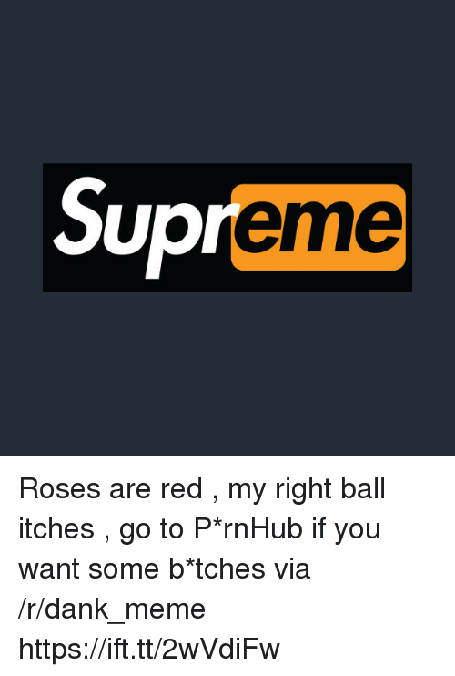 Dank Memes Supreme Logo - Supreme UJ Roses Are Red My Right Ball Itches Go to P*rnHub if You ...
