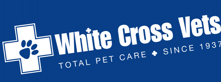 Blue White Cross Logo - White Cross Vets – Introduce a friend poster campaign – PMD Creative ...