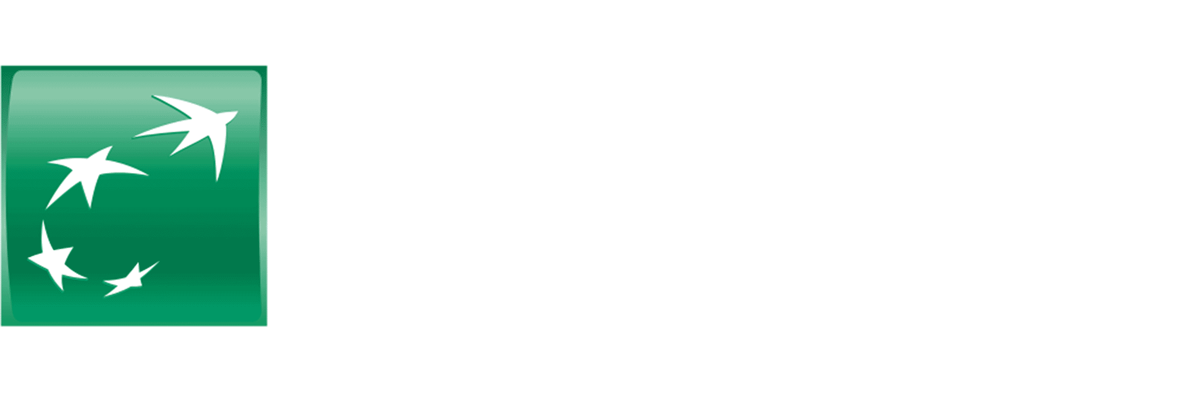 BNP Paribas Logo - Managers Convention Paribas • ELEPHANT