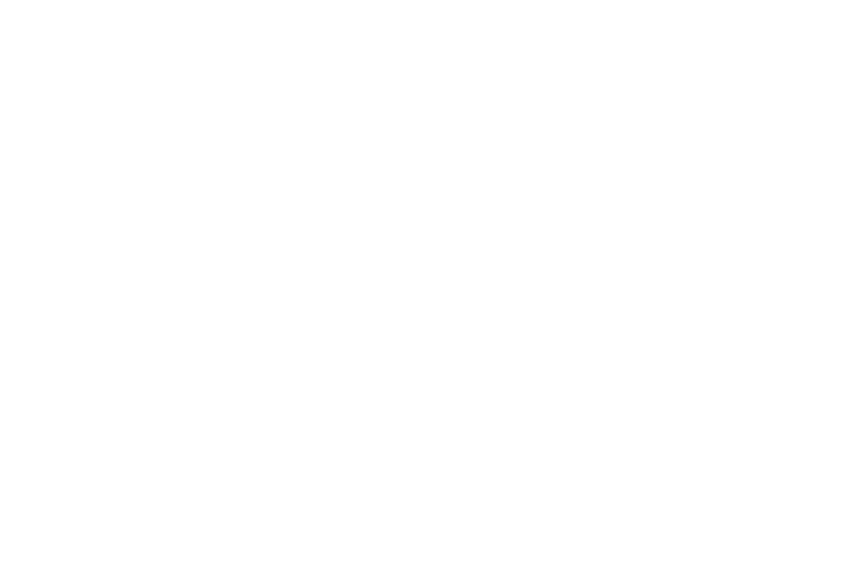 Store Logo - The Street Store