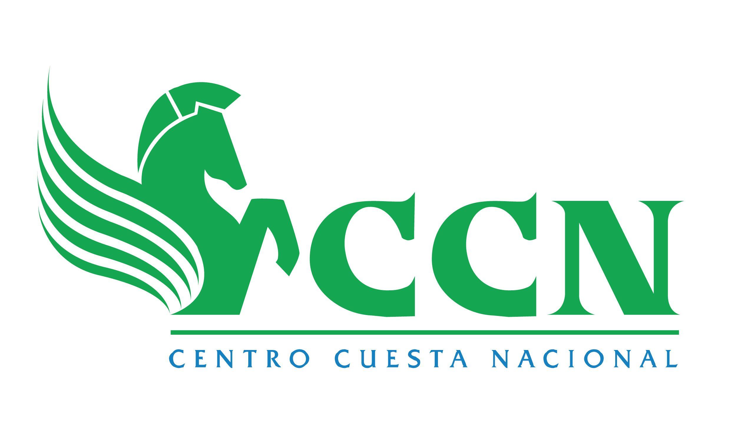 CCN Logo - Logo de CCN - CCN Web Institucional