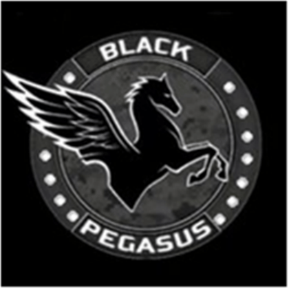 Black Pegasus Logo - Black Pegasus Logo