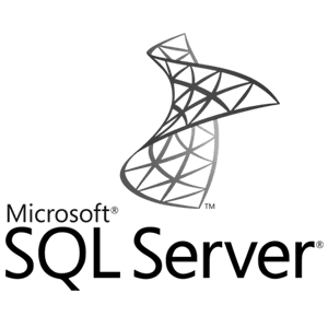 Black Server Logo - Microsoft SQL Server Hosting