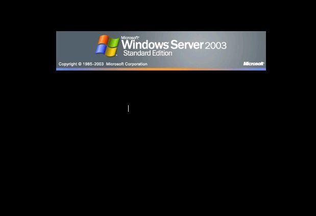Black Server Logo - Server 2003 only shows a black login screen and a cursor about