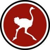 Red Ostrich Logo - Random Order Coffeehouse Is Pie City . Arts & Life | OPB