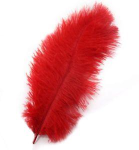 Red Ostrich Logo - Red Ostrich Feathers X 3 (approx 5 6 Inches)