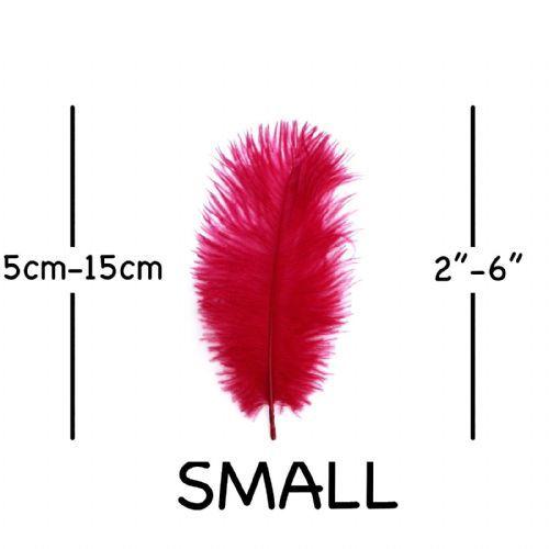 Red Ostrich Logo - Ostrich Feathers