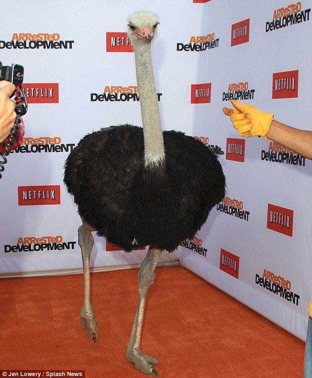 Red Ostrich Logo - Ellen DeGeneres beams as wife Portia de Rossi shows off her svelte