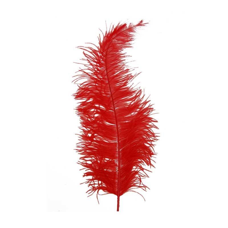 Red Ostrich Logo - Ostrich Feather Red 45cm - Abakhan