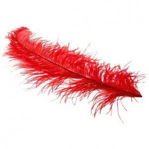 Red Ostrich Logo - Red Ostrich Feathers: Amazon.co.uk: Kitchen & Home
