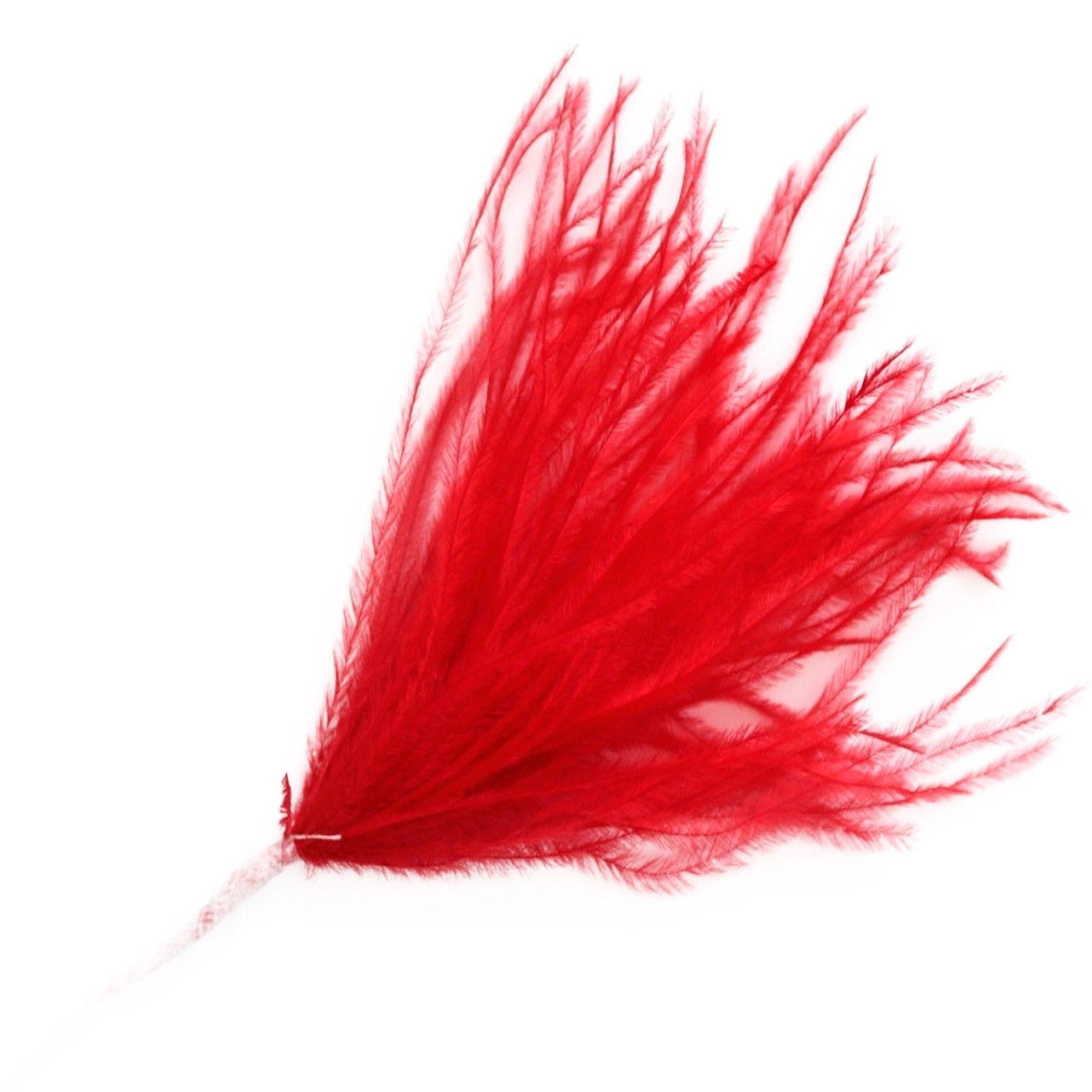 Red Ostrich Logo - Red Ostrich Wisp Feathers