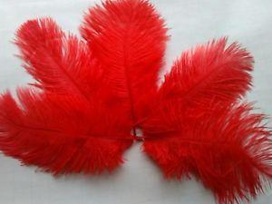 Red Ostrich Logo - 5 pcs Ostrich Feathers Millinery & Crafts 6-8