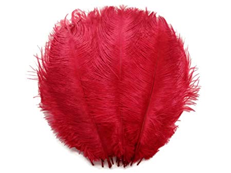 Red Ostrich Logo - Ostrich Feathers 100 6 8 Red Ostrich Feathers By Moonlight Feather