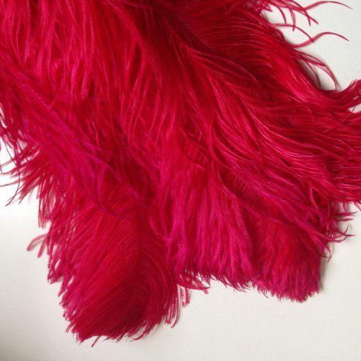 Red Ostrich Logo - Red Ostrich Feathers Happy Nina China Trading Ltd UK