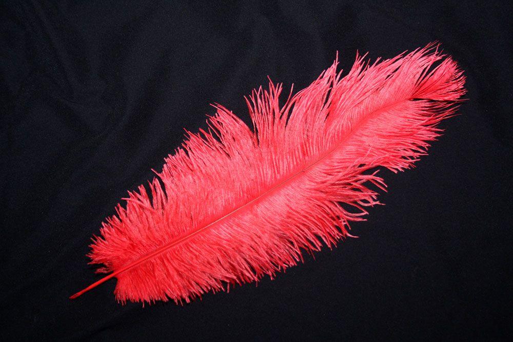 Red Ostrich Logo - Ostrich Feathers Ostrich Drabs and Plumes