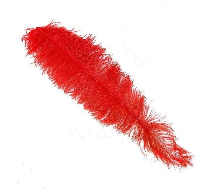 Red Ostrich Logo - Ostrich Feathers Red