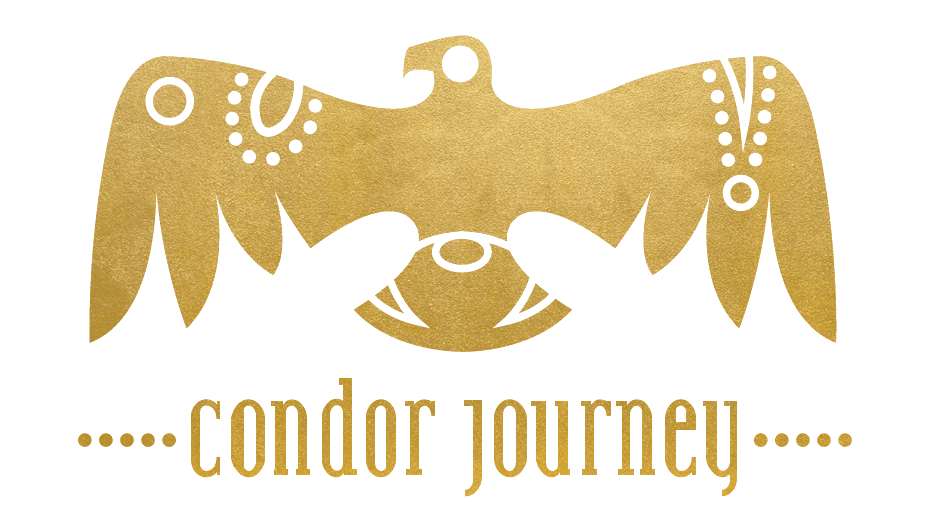 Condor Logo - Condor Journey Logo – The Condor Journey