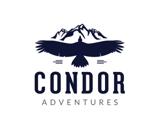 Blue Condor Logo - Logo design for Condor Adventures | Our Work | Pinterest | Logo ...