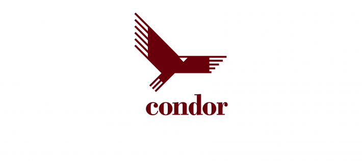 Condor Logo - Logo Condor
