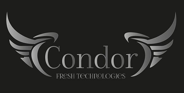 Condor Logo - Condor | Logo Design on Pantone Canvas Gallery