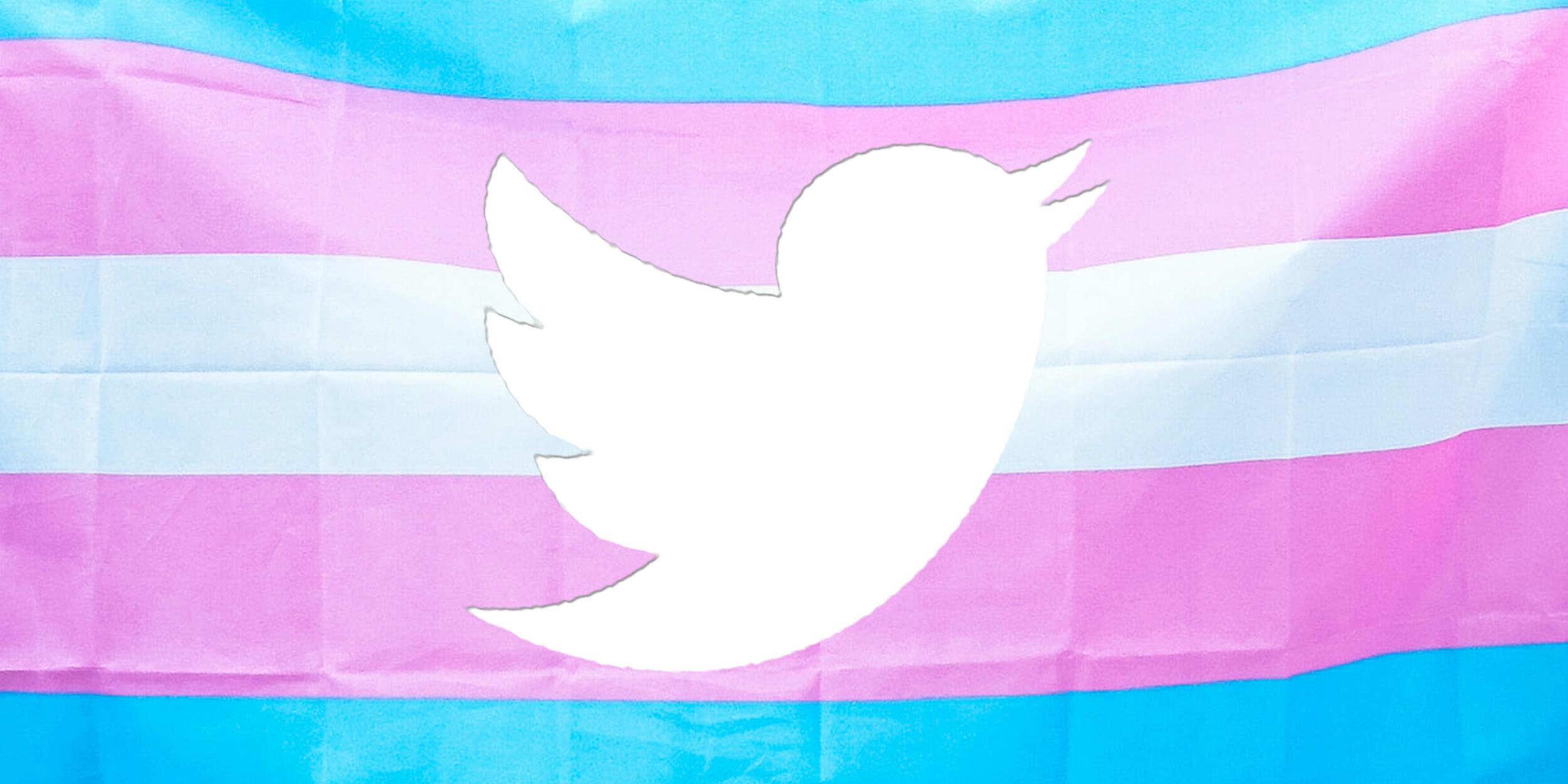 Pink and Purple Twitter Logo - Trans People Keep Getting Suspended From Twitter—And They Want Answers