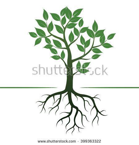 Tree Roots Logo - tree roots logo | Color Tree Roots Vector Illustration Stock Vector ...