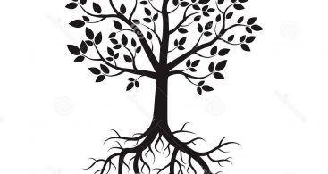 Tree Roots Logo - Tree Roots Logo Vector » Free Vector Art, Images, Graphics & Clipart