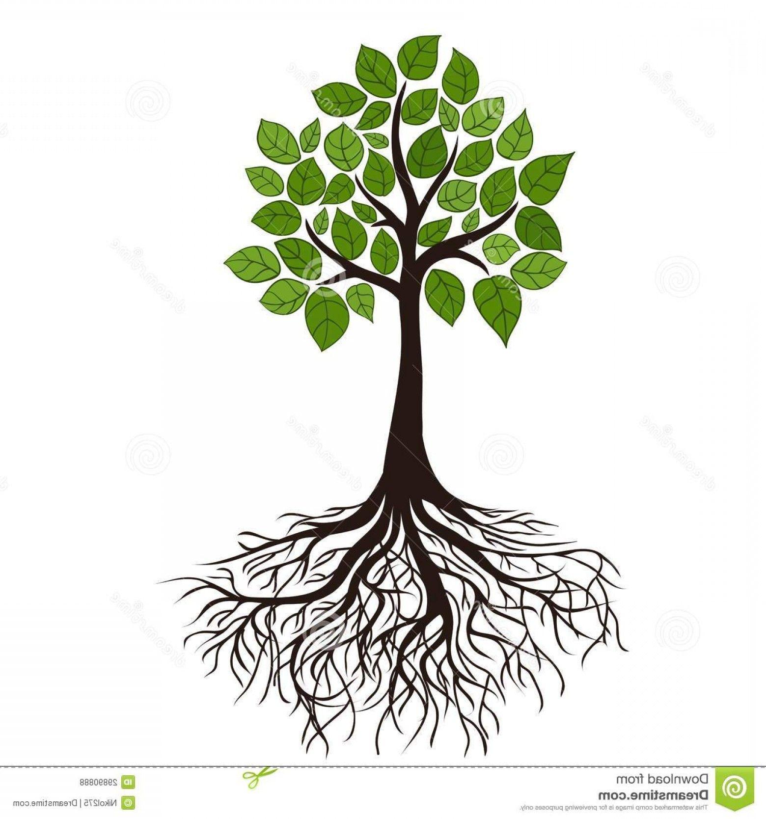 Black and White Tree with Roots Logo - Royalty Free Stock Images Tree Roots Logo Leaves Icon Image | SOIDERGI