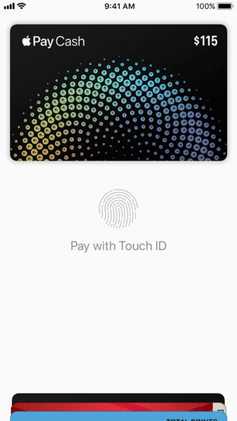 Apple Pay App Logo - Apple Wallet