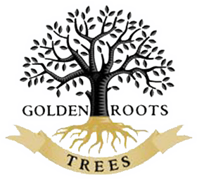 Tree Roots Logo - Golden Roots Trees - Wholesale Tree Farm