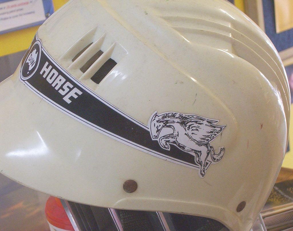 Bike Flying Horse Logo - Flying Horse helmet | A flying horse logo on a bike helmet | Vicki ...