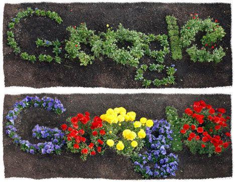 Flowers Bloom Logo - Earth Day Google Doodle: Flowers Bloom in Animated Logo - Search ...