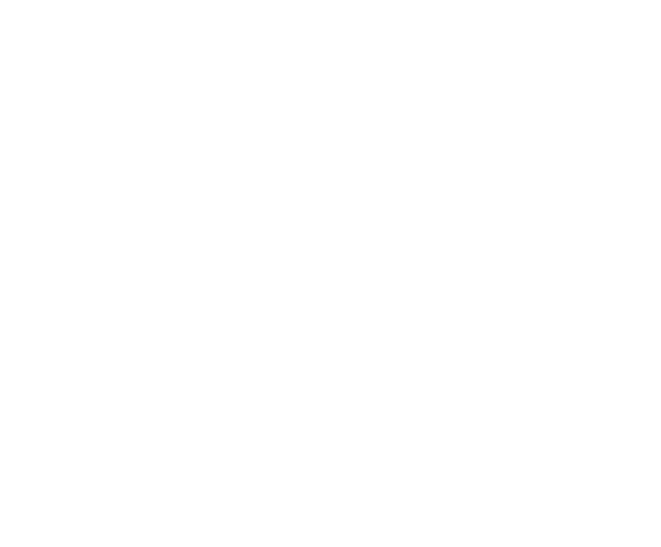 Lowe's Graphics Logo